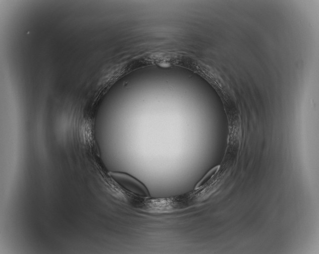 X0000116660335200912141325