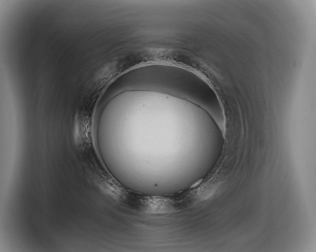 X0000116660336200912141325