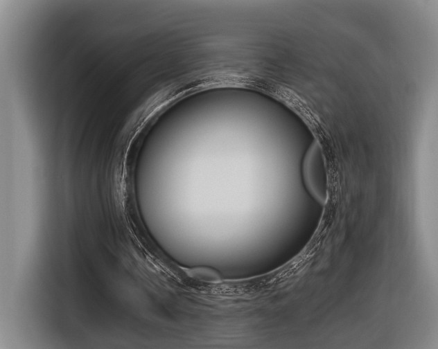 X0000116660338200912141325