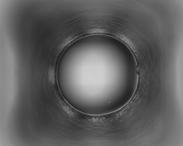 X0000116660345200912141325