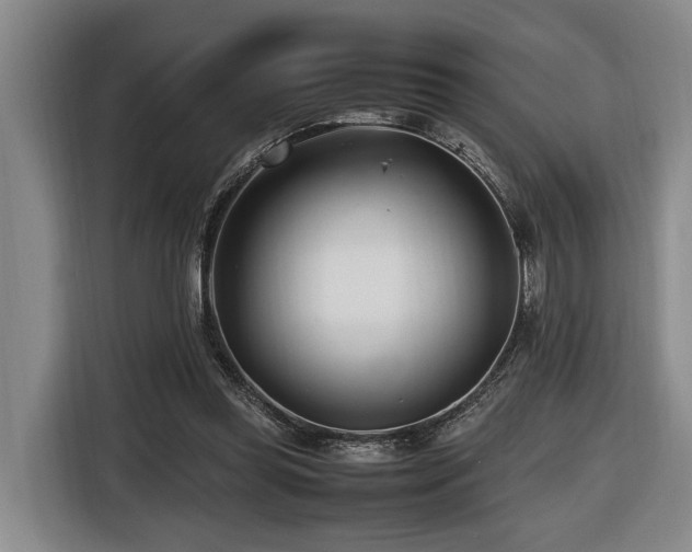 X0000116660349200912141325