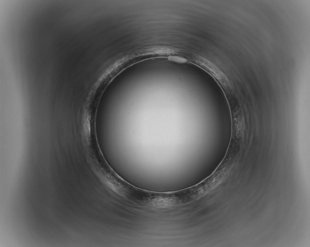 X0000116660350200912141325