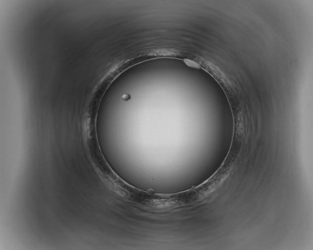 X0000116660351200912141325