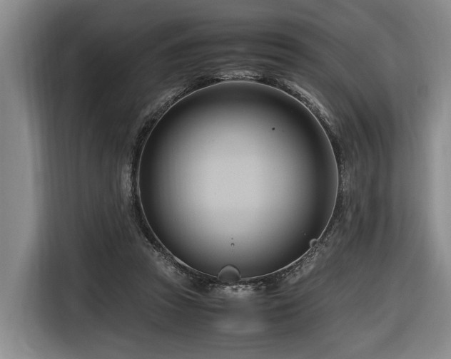 X0000116660353200912141325