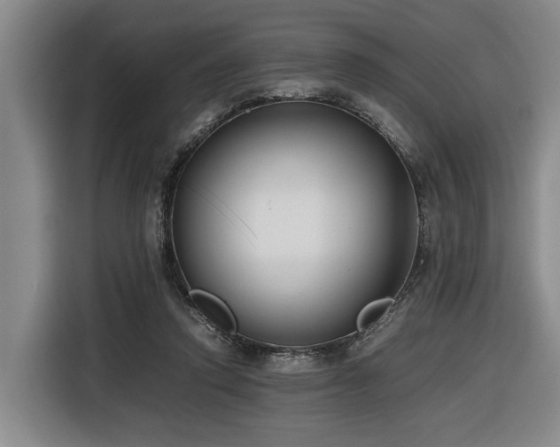 X0000116660354200912141325