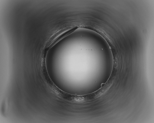 X0000116660355200912141325