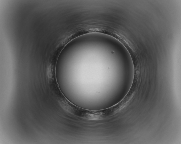 X0000116660359200912141325