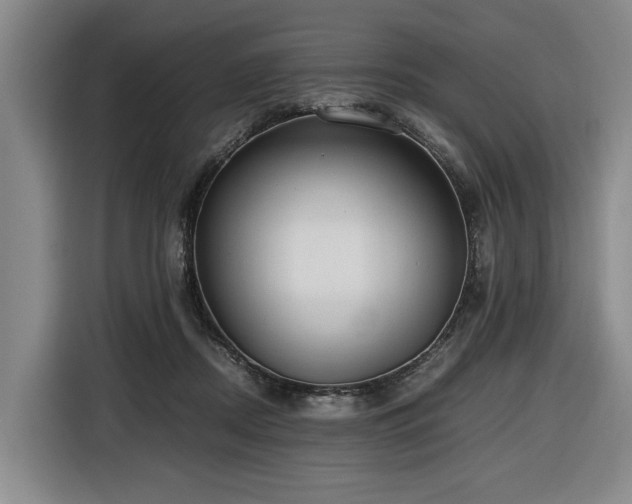 X0000116660362200912141325