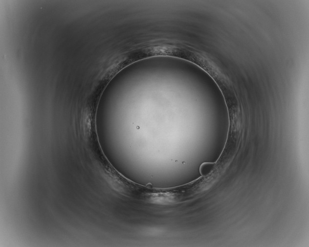 X0000116660363200912141325