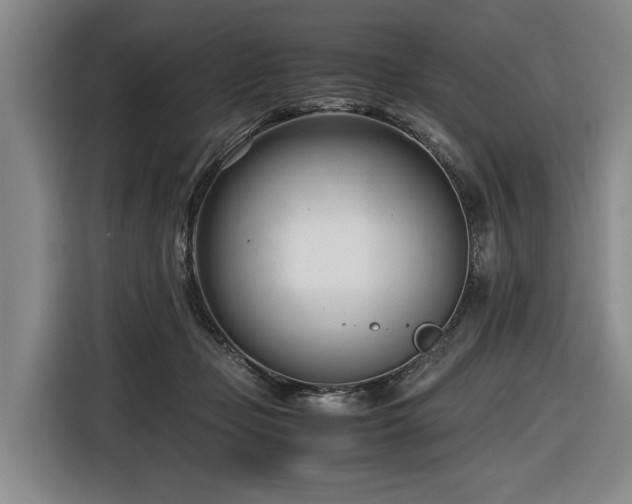 X0000116660365200912141325