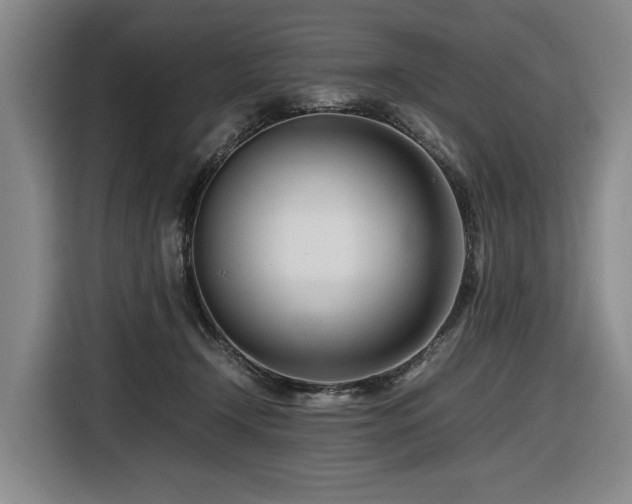 X0000116660366200912141325