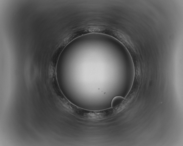 X0000116660367200912141325