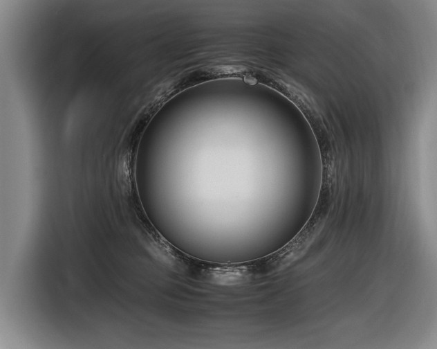 X0000116660373200912141325