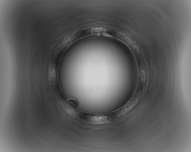 X0000116660375200912141325