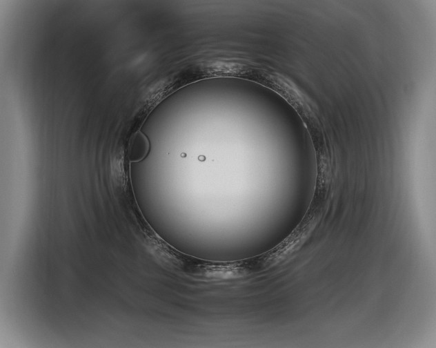 X0000116660377200912141325