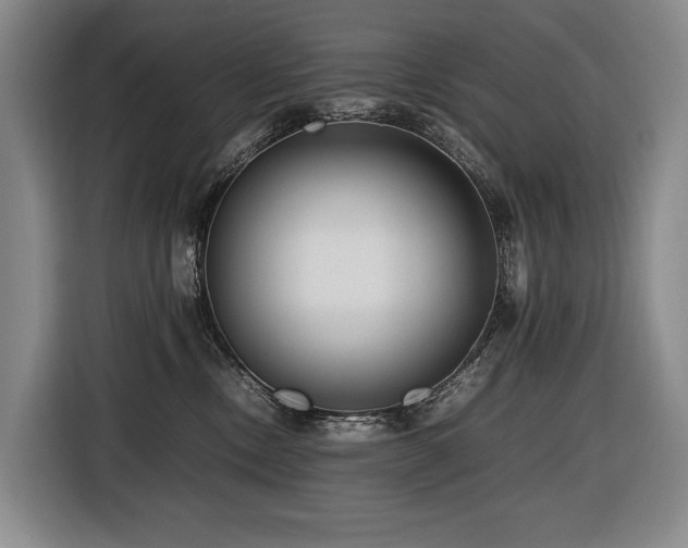 X0000116660378200912141325