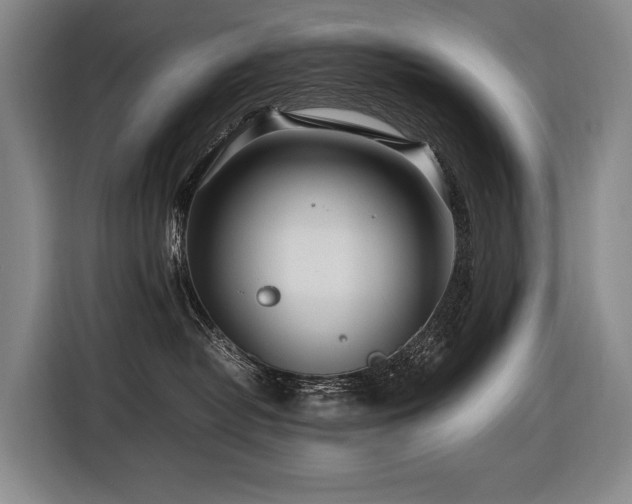 X0000116660382200912141325