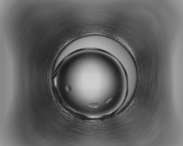 X0000116660386200912141325