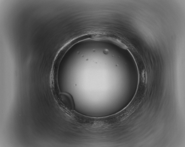 X0000116660388200912141325