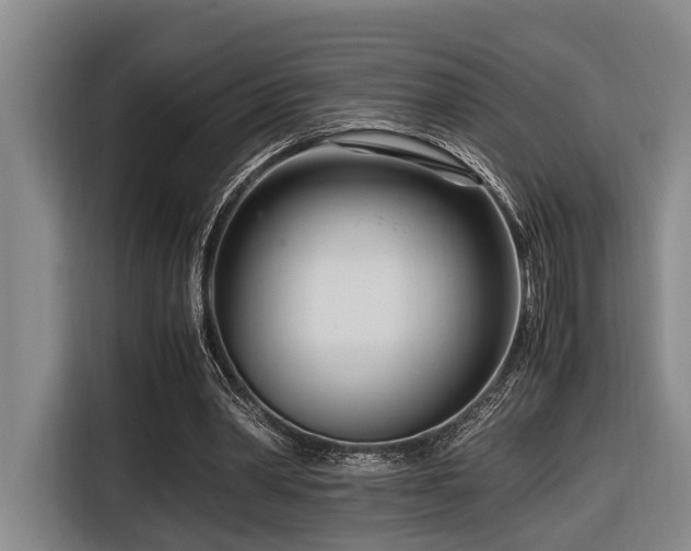 X0000116660390200912141325