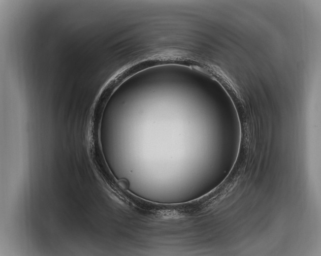 X0000116660392200912141325