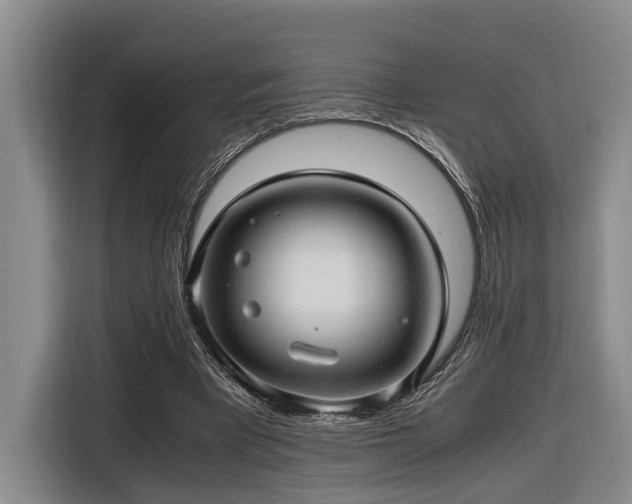 X0000116660393200912141325