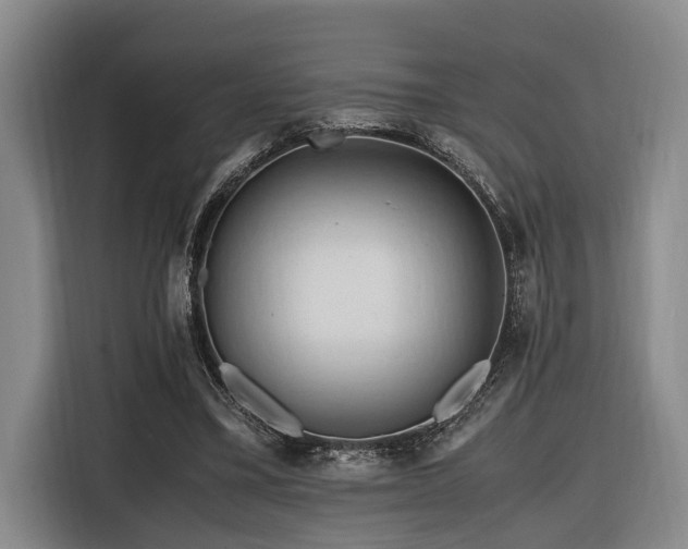 X0000116660395200912141325