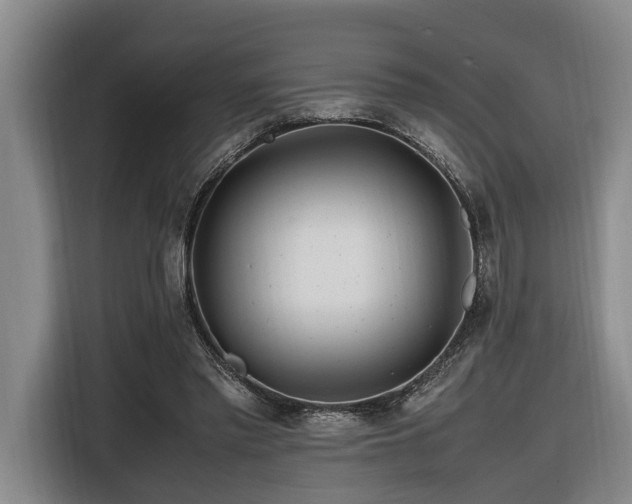 X0000116660397200912141325