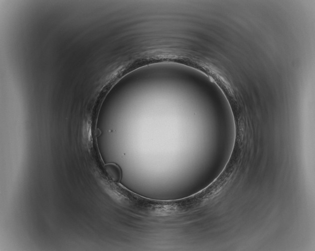 X0000116660398200912141325