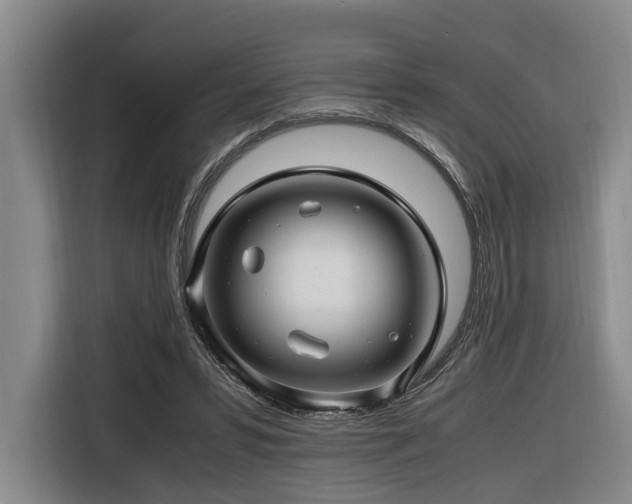 X0000116660399200912141324