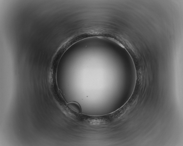 X0000116660400200912141324