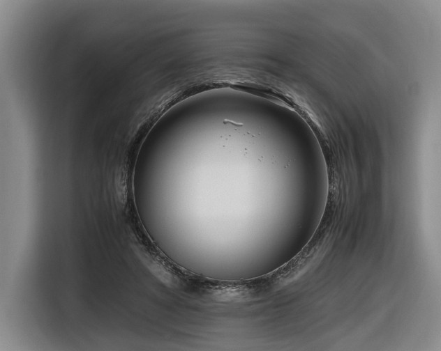 X0000116660402200912141324