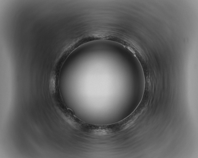 X0000116660404200912141324