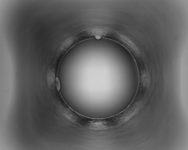 X0000116660407200912141324