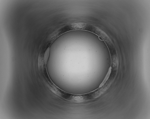 X0000116660409200912141324