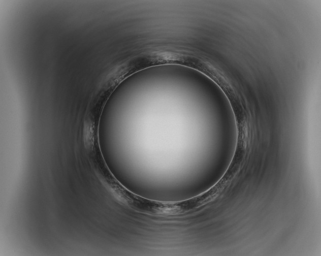 X0000116660410200912141324