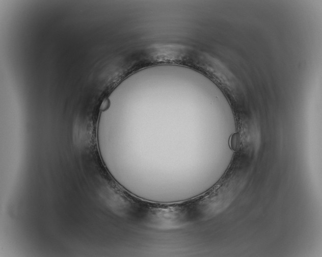 X0000116660411200912141324