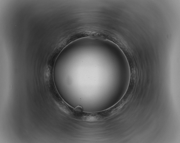 X0000116660412200912141324