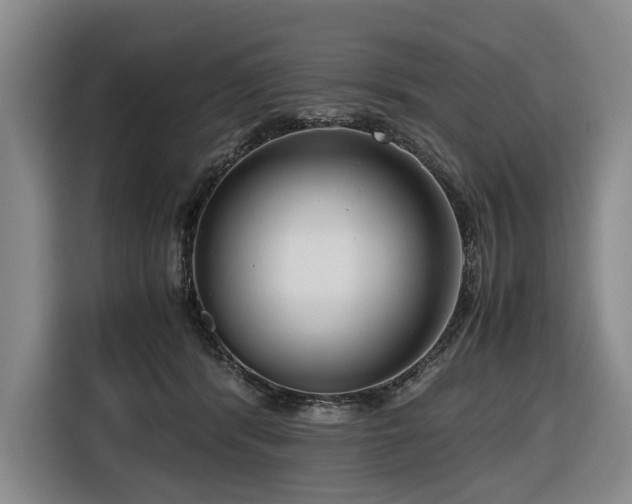 X0000116660416200912141324