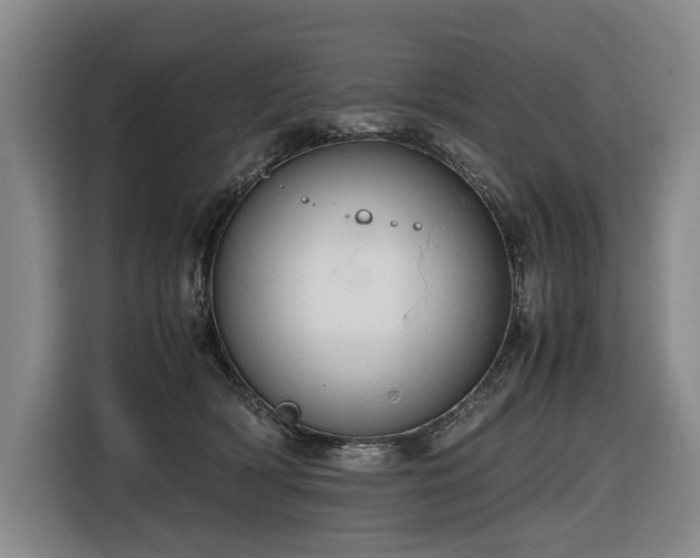 X0000116660418200912141324