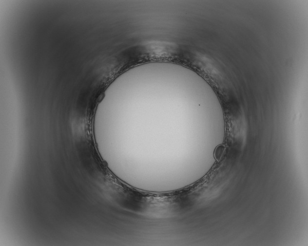 X0000116660419200912141324