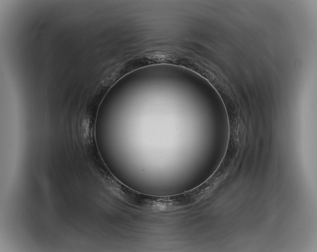 X0000116660420200912141324