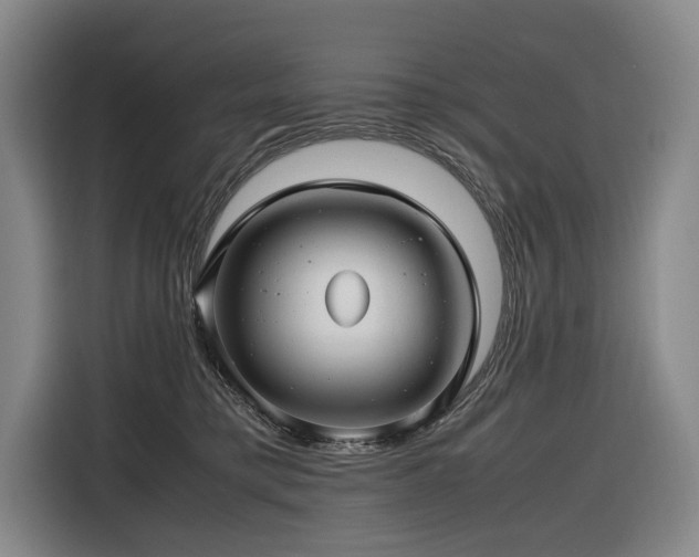 X0000116660421200912141324