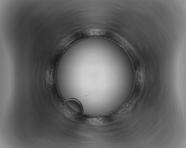 X0000116660422200912141324