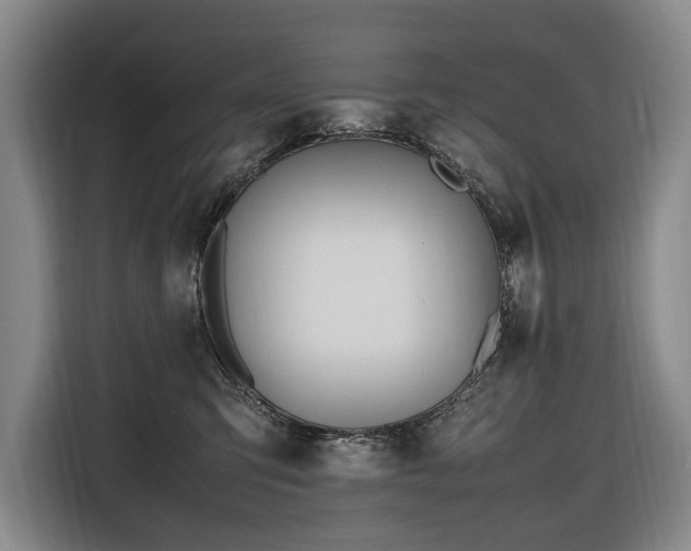 X0000116660423200912141324