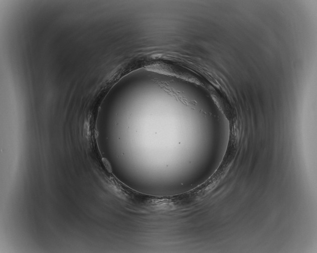 X0000116660424200912141324