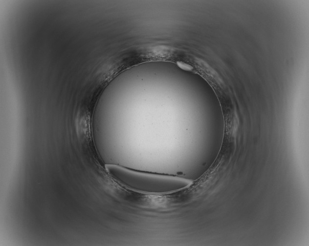 X0000116660425200912141324