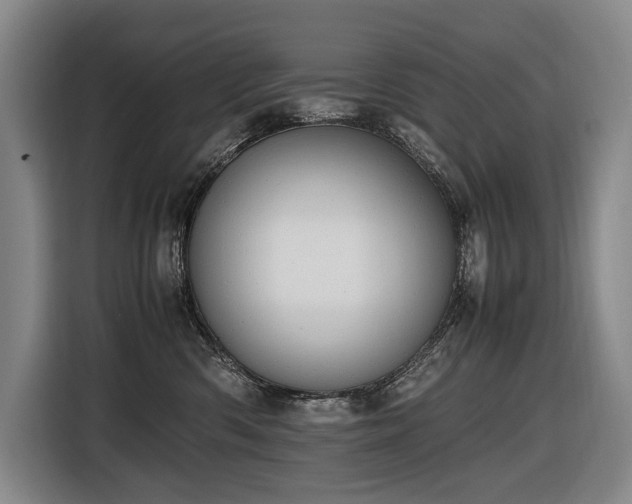 X0000116660426200912141324