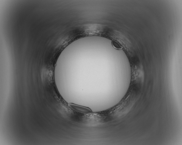 X0000116660427200912141324