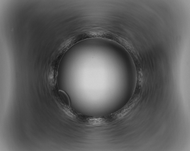 X0000116660428200912141324